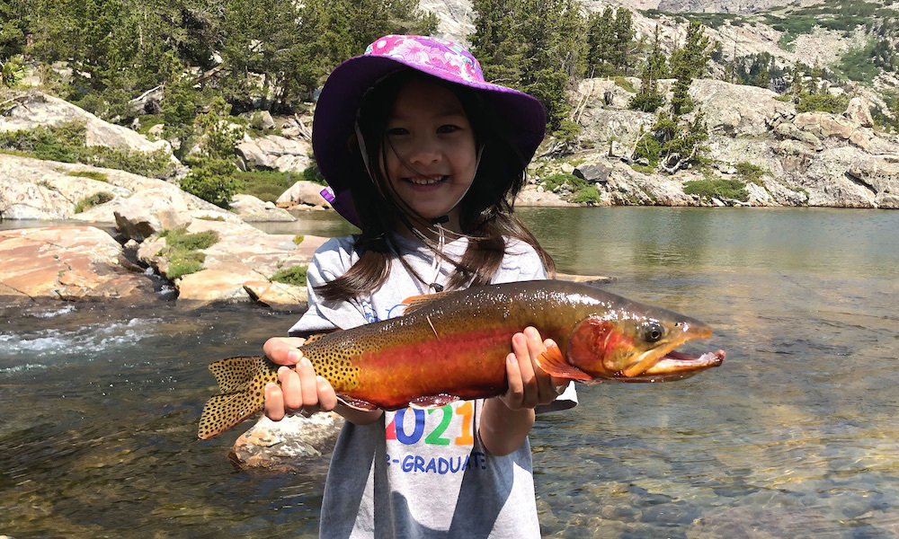 4-Year-Old Lands Potential World Record Golden Trout