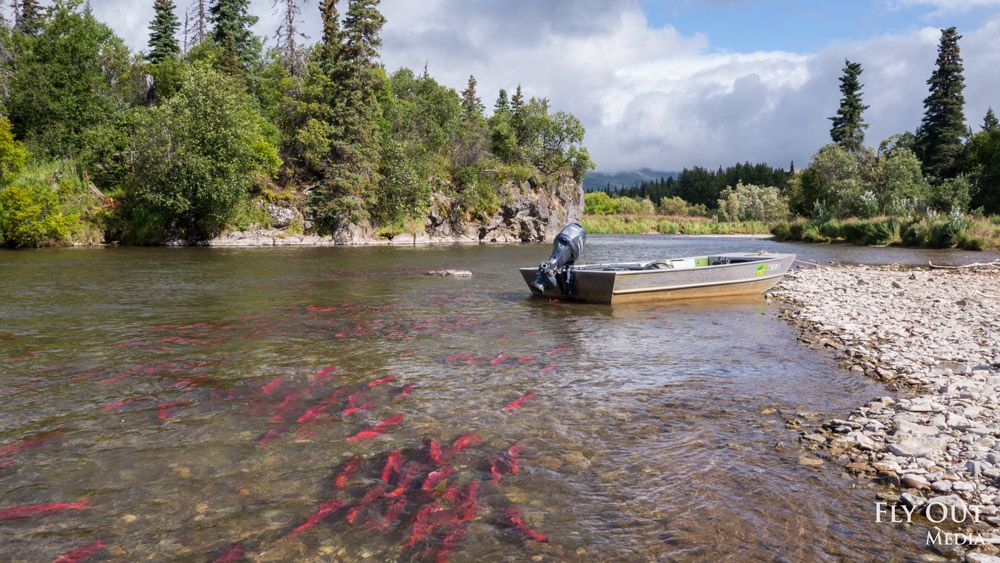 BREAKING NEWS: EPA Resumes Process to Protect Bristol Bay