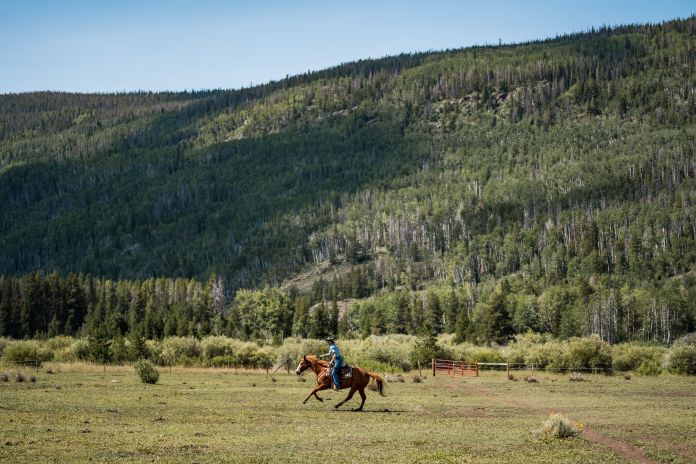 horse back riding