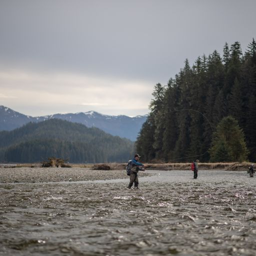 Take Action Today to Protect America’s Salmon Forest, the Tongass National Forest