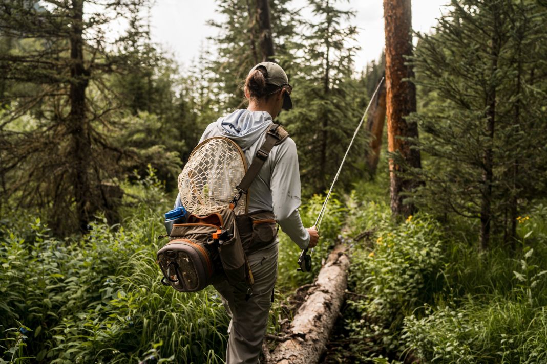 walking through the woods