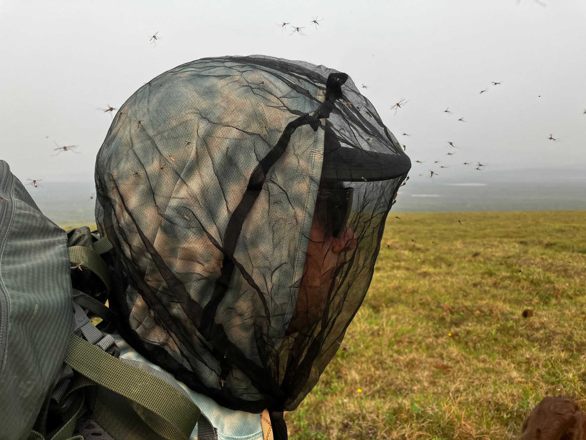 Tundraesque – An Adventure in the Alaskan Arctic