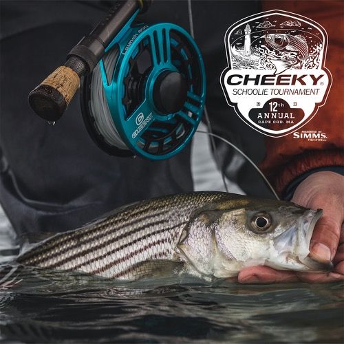 12th Annual Cheeky Schoolie Tournament Another Huge Success–Raises $30,000 for Striped Bass Conservation