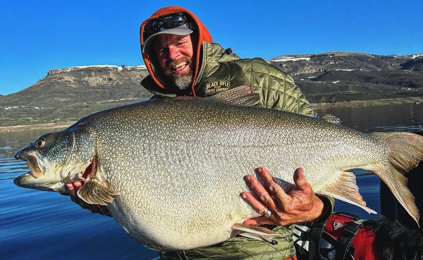 Massive, Potentially Record-Breaking Lake Trout Landed in Colorado
