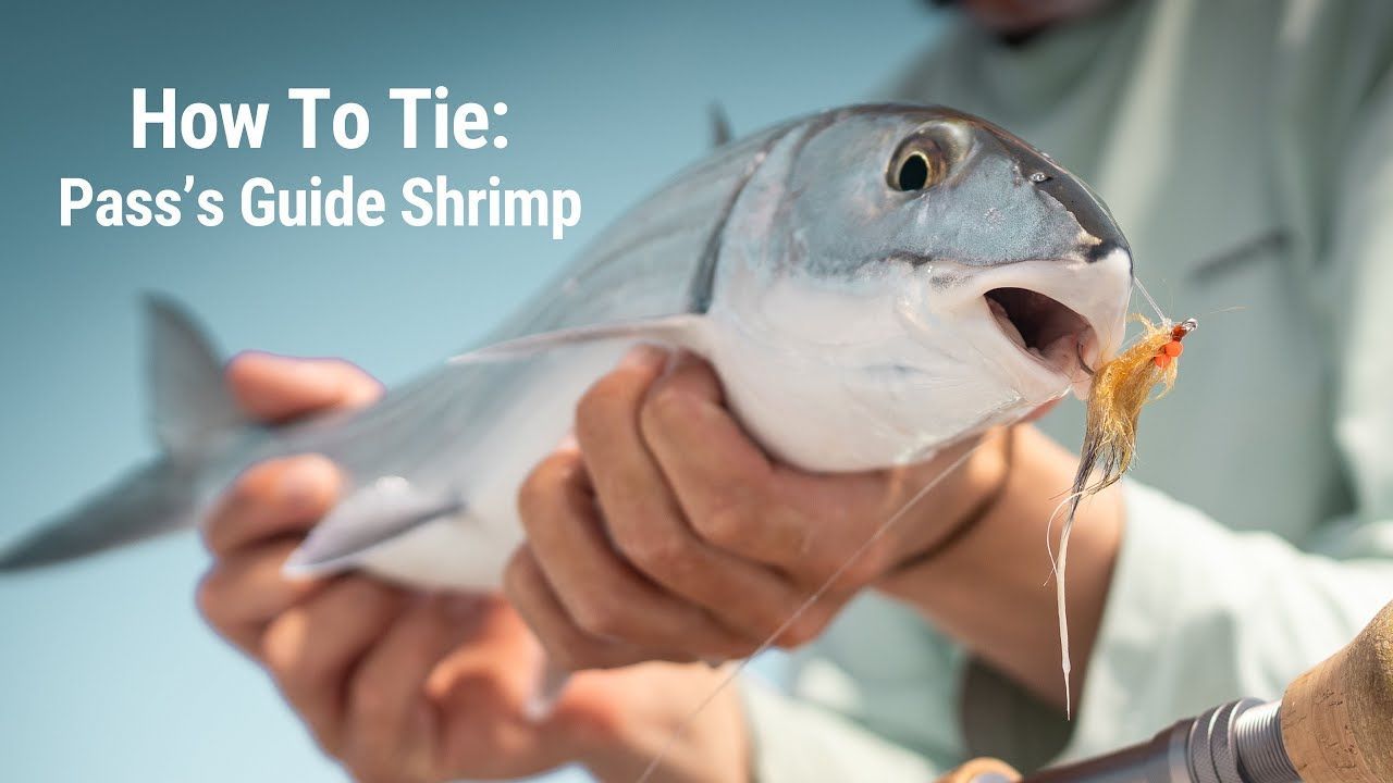 How to Tie: Pass’s Guide Shrimp How to Tie: Pass’s Guide Shrimp