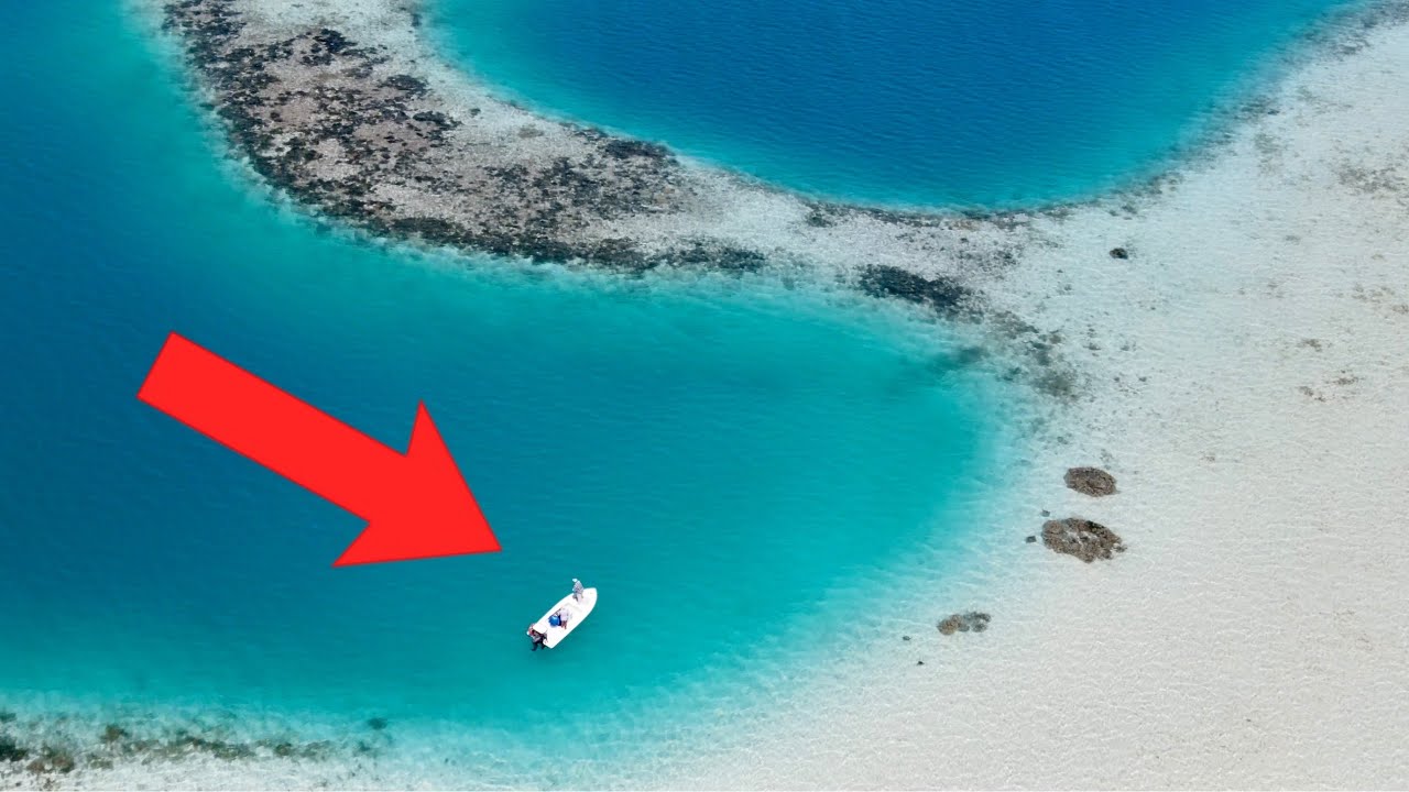 Video of the Week: Flats Fishing Paradise with Pelagic Pursuit
