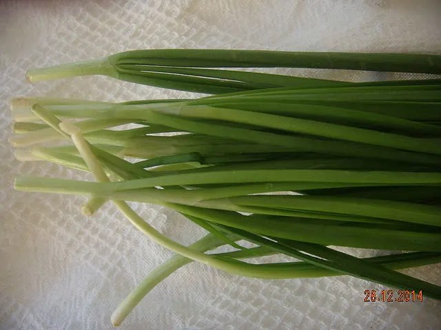 The Ultimate Guide to eating fresh Vietnamese Herbs and Using Them in Your Kitchen 15 chinese chives