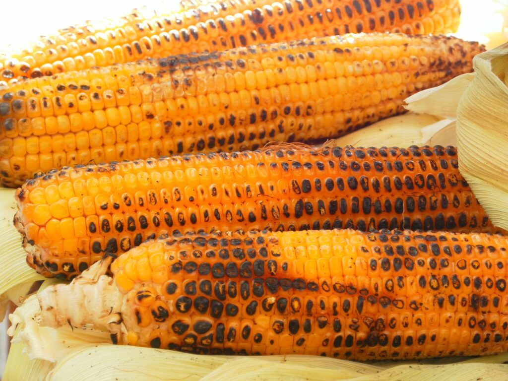 Russian Street Food- 24 Delicious Russian Snacks 20 grilled corn