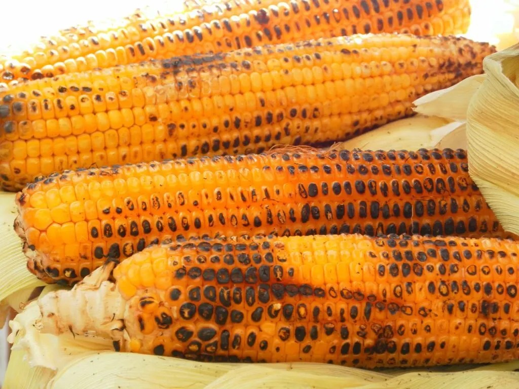 Street Food In Croatia- 24 Amazing Croatian Street Food Dishes You Have To Try 7 grilled corn