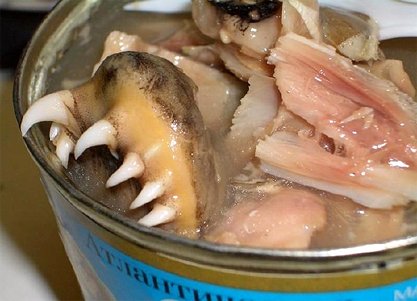 Disgusting Russian Food - 17 Gross Russian Dishes You Don't Want To Try 13 Fish Liquid disgusting russian food