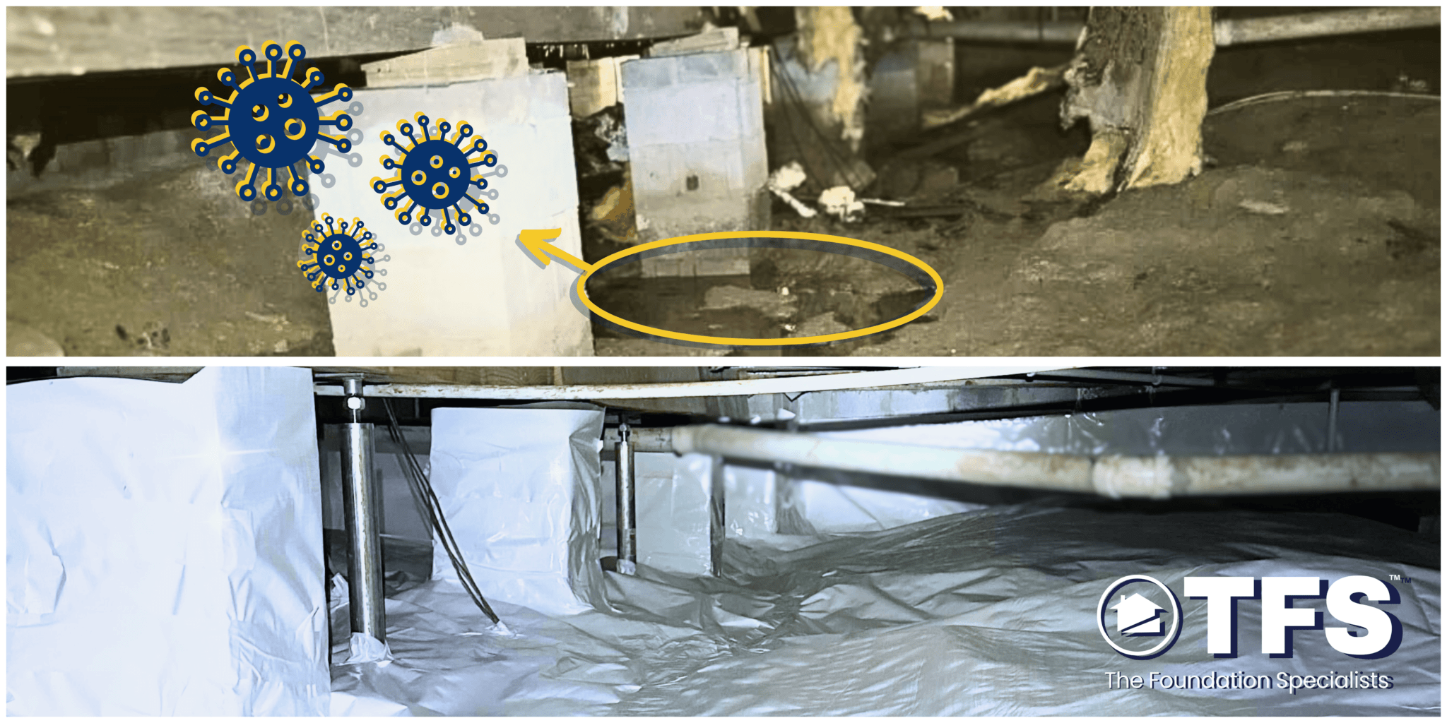 mold killer for crawl space