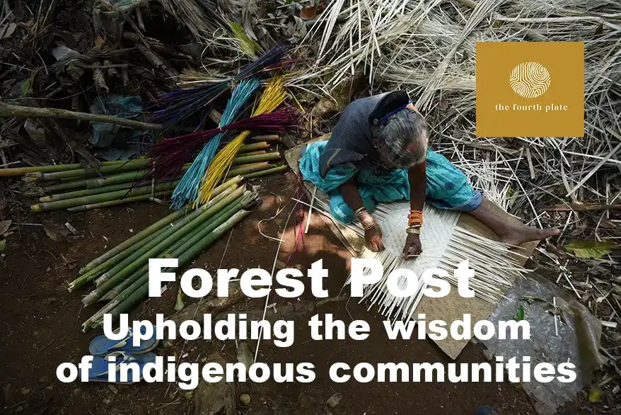 How 'Forest Post' is cocreating lifestyle products from non-timber forest produce by indigenous communities A grassroots initiative that is empowering women indigenous communities by creating better market linkages