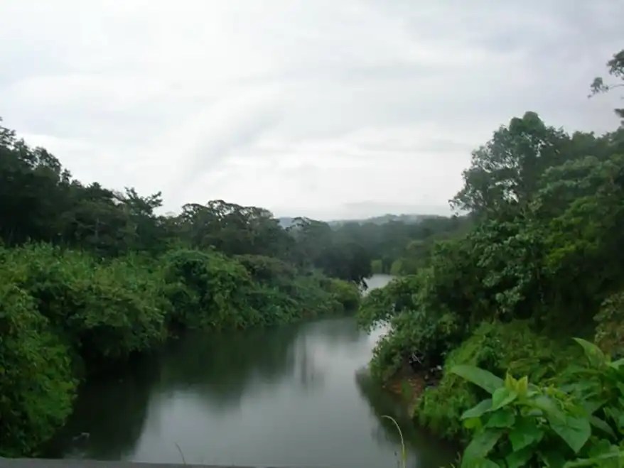 Periyar Reserve