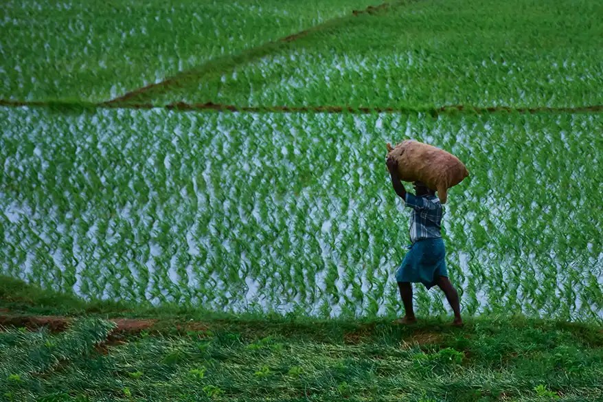 The ?1,510-Crore Question