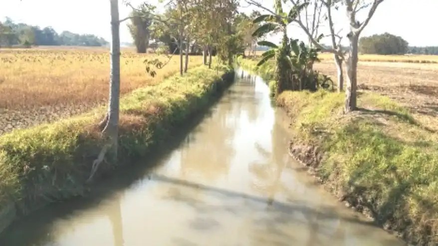 Dong irrigation refers to a community-managed water management system to divert river water through earthen canals for irrigation and household use. This centuries-old system is crucial in areas near the Indo-Bhutan border, especially for wet paddy cultivation during dry seasons when natural water sources are insufficient.