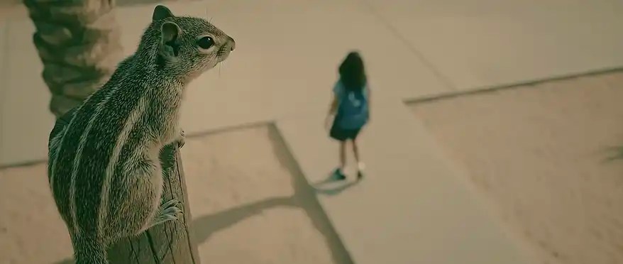 The Light We Follow: A Squirrel, a Bracelet, and the Future of Storytelling