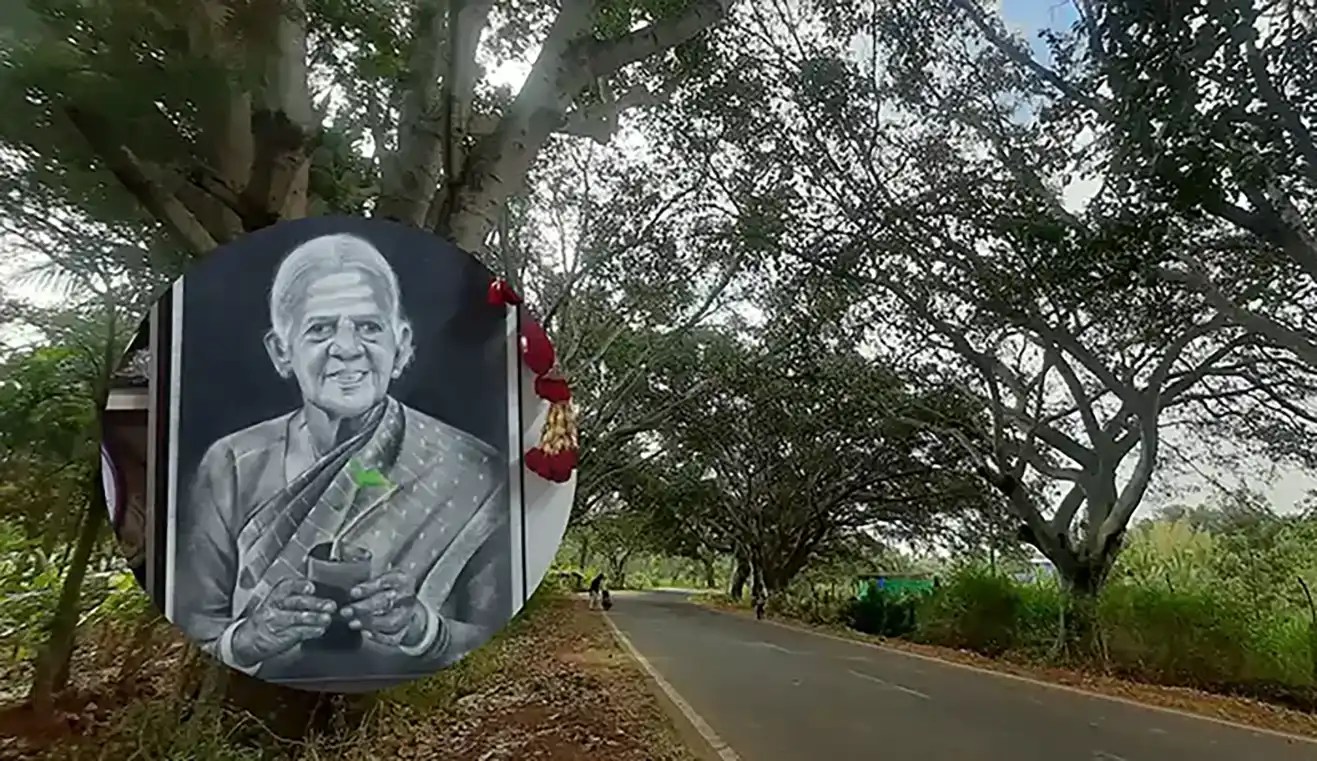 Thimmakka was 114 years old when she died on 14th Nov, 2025 in a hospital in south Bangalore but only 37 years old when she and Chikkayya started planting trees to heal from the humiliation they faced for being childless.