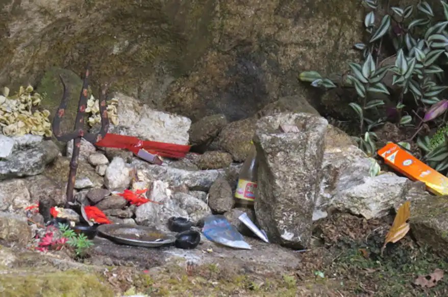 When a tree and a wayside stone becomes a shrine: Observations from nature