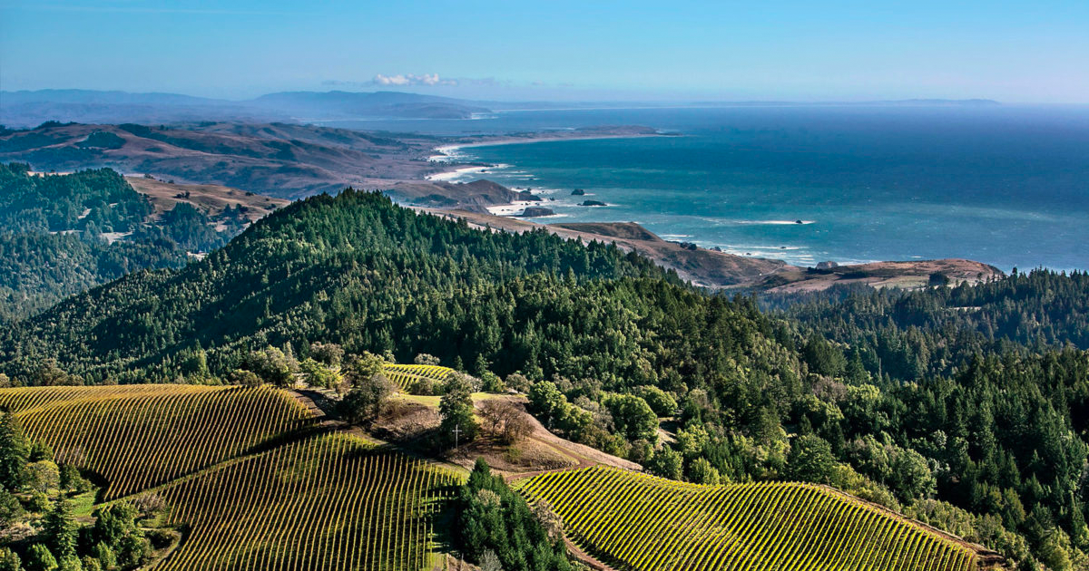 sonoma