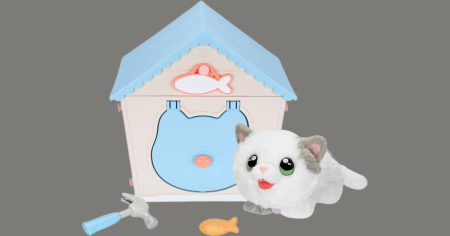 littlelivecat