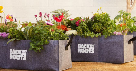 Back to the roots breathable raised bed