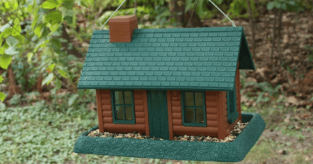 Bird Feeder