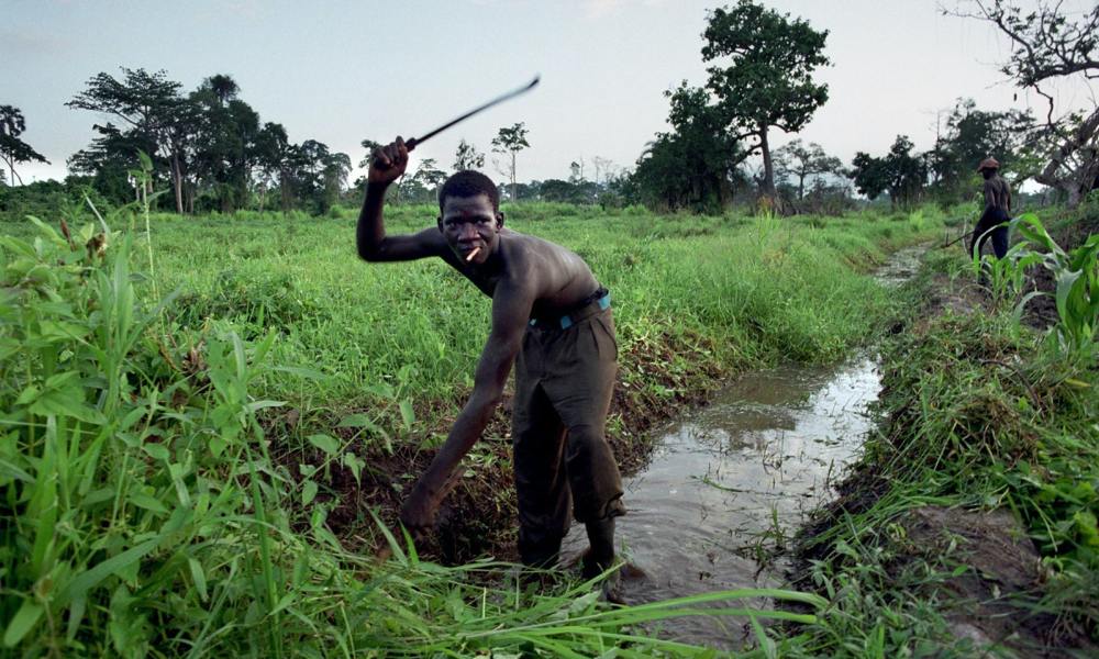 CRAZY: Supreme Court throws out child slavery lawsuit against Nestle, Cargill