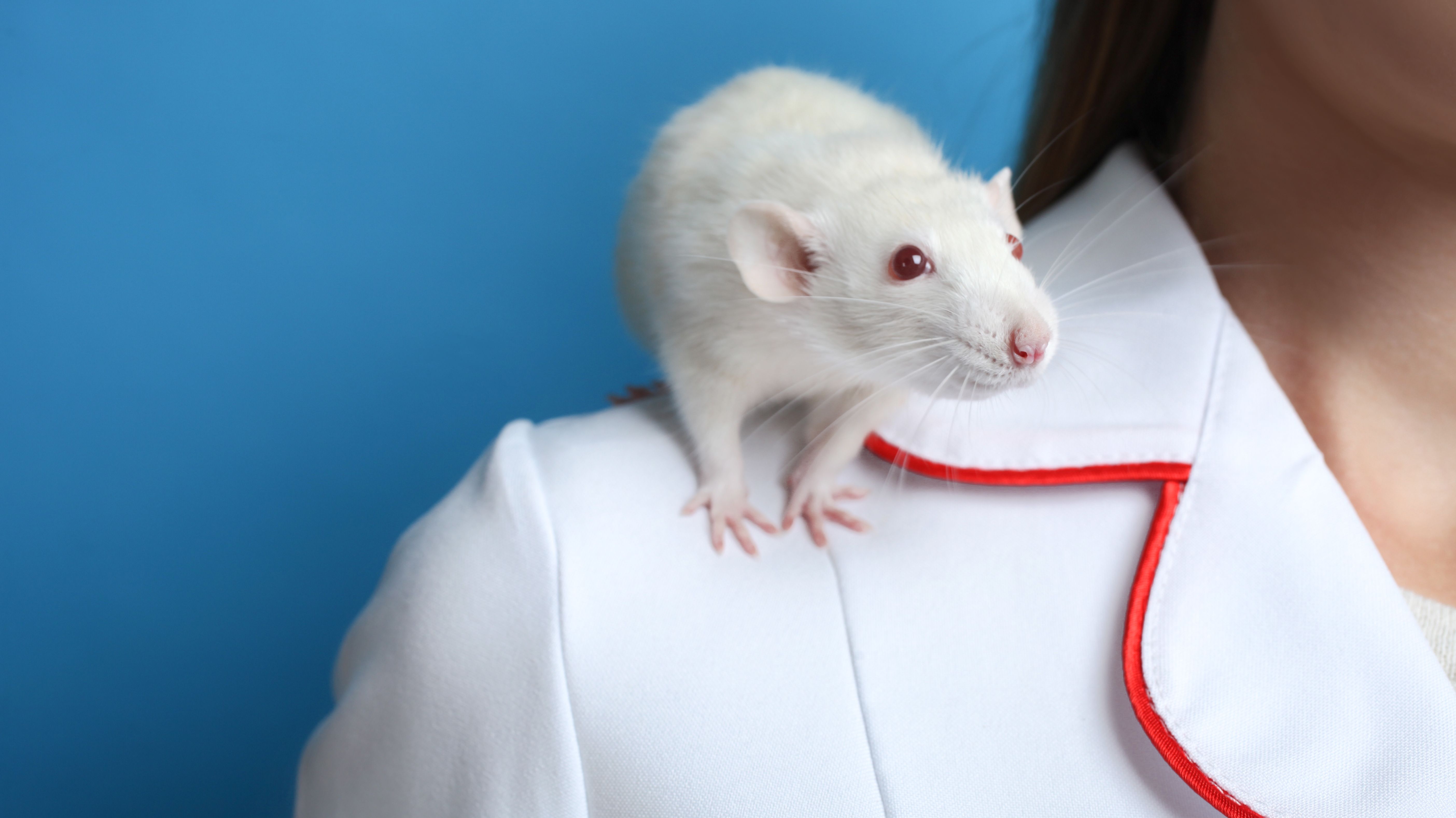 BREAKING: Politician calls fully vaccinated “LAB RATS” and wants the unvaccinated to join THE EXPERIMENT
