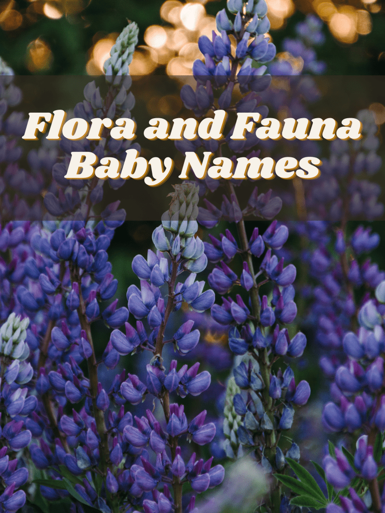 Flora and Fauna Baby Names The Friendly Fig