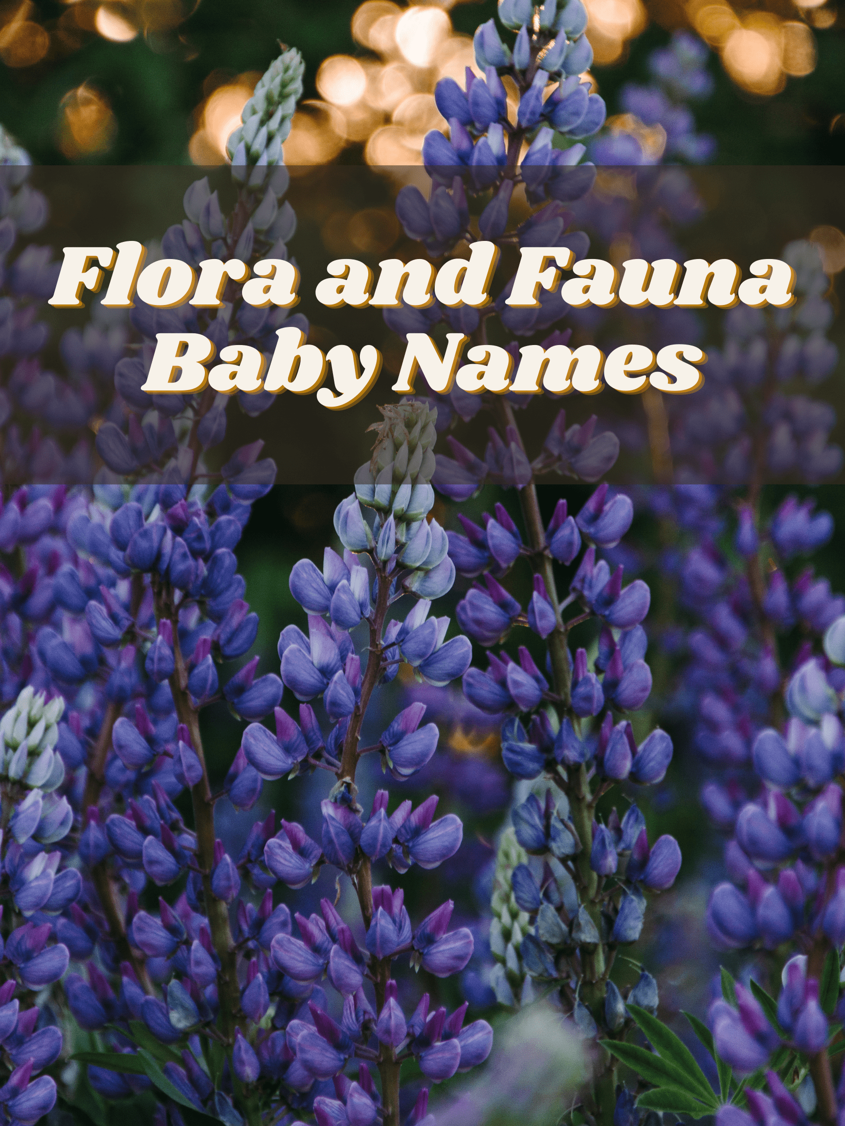 Flora and Fauna Baby Names The Friendly Fig