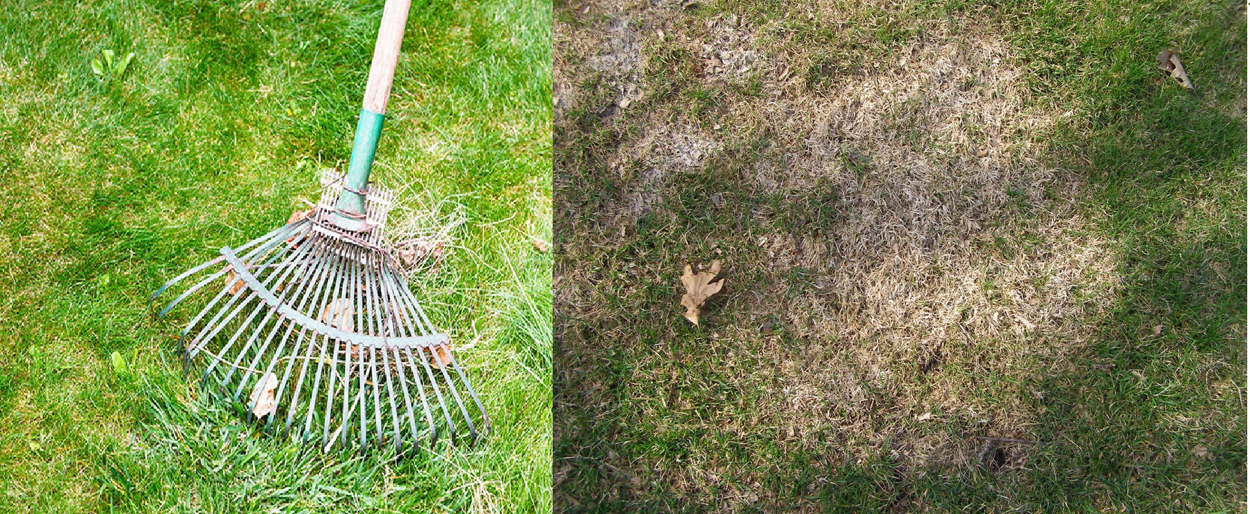 Read more about the article Spring Has Sprung!