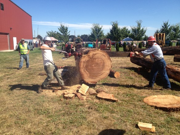 loggers