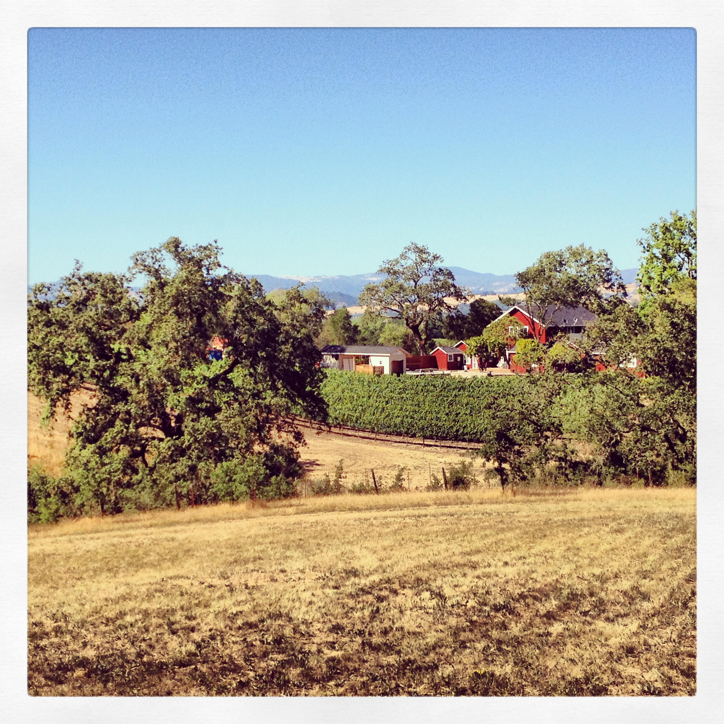 I like wine & wine country