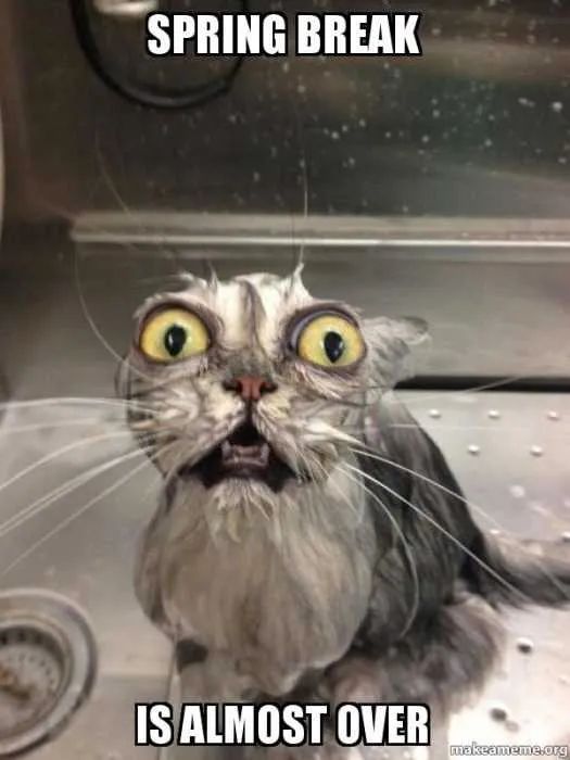 Spring Break 2018 Funny - Ultra HD Dark Illustration - 8K