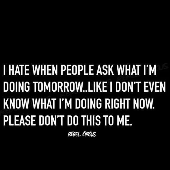 Funny And Relatable Quotes - Sunset Backgrounds - Classic HD Collection