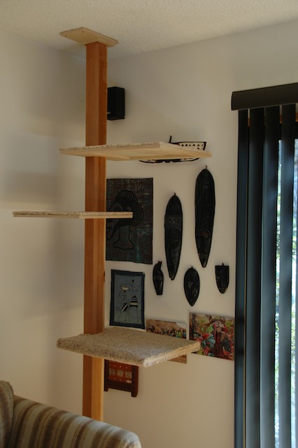 Modern Corner Climbing Cat Tower Seems Easy To Make Diy Cat Tree Cat Tower Cat Stands