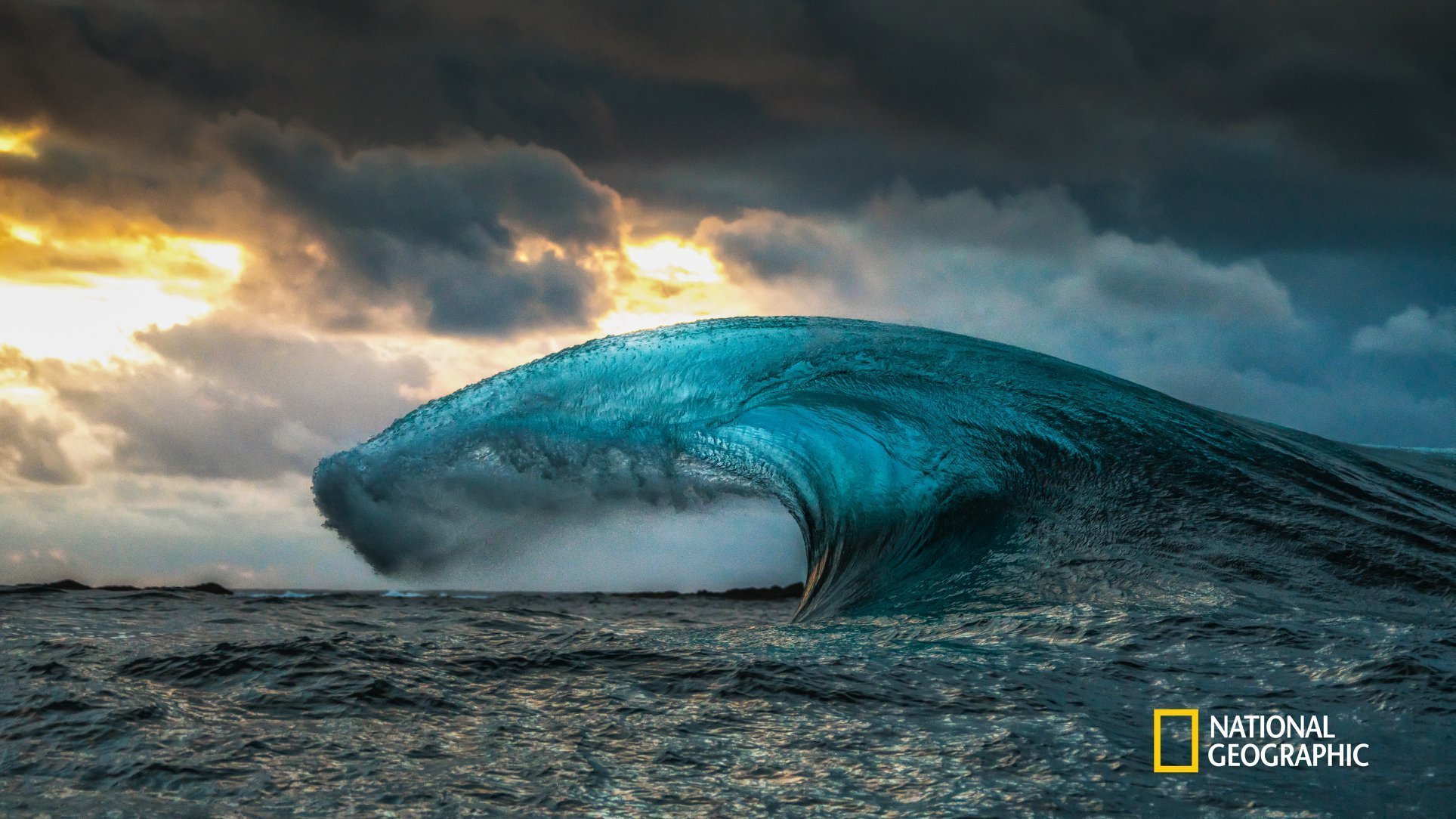 National Geographic on Disney Plus