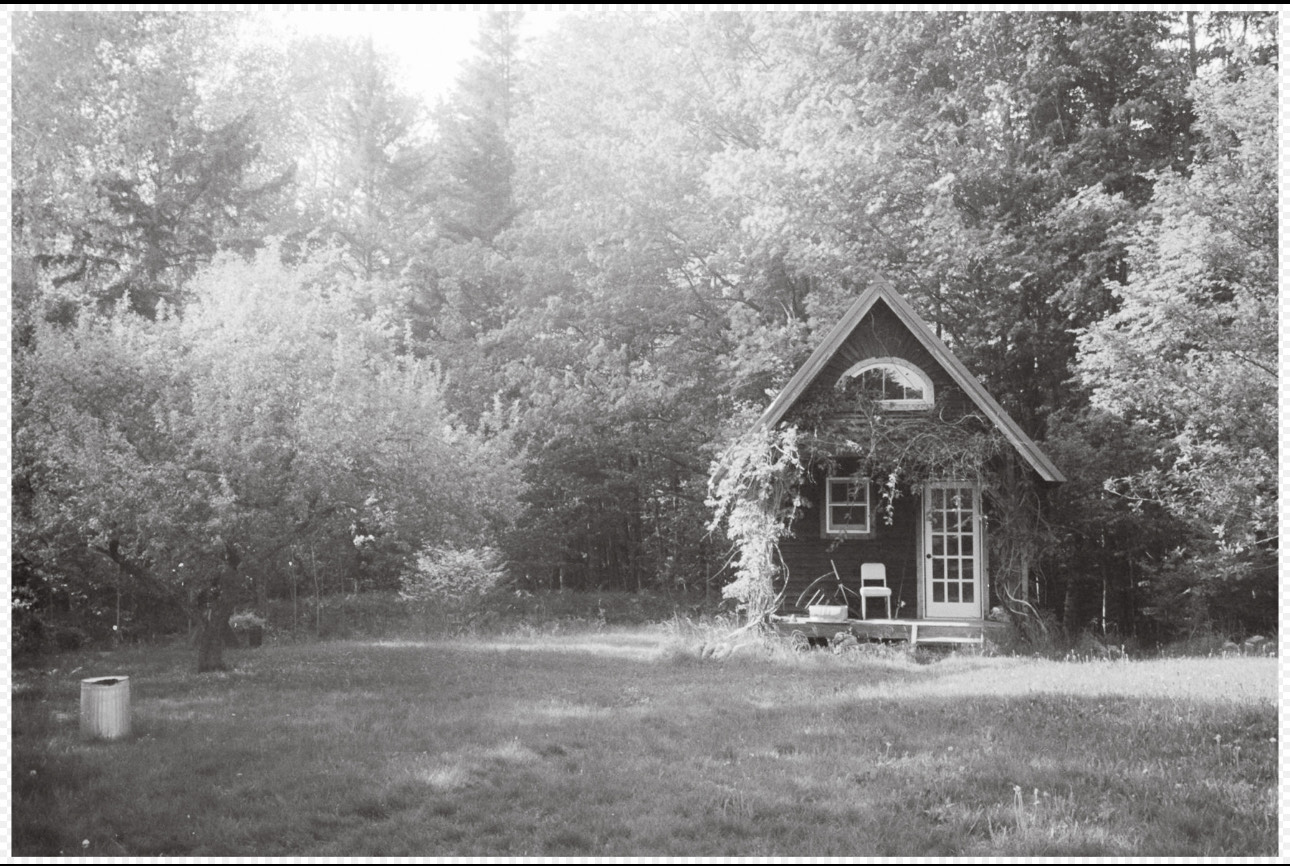 Read more about the article Sarosik Gallery: From Sweet Waters, by Will Sharp