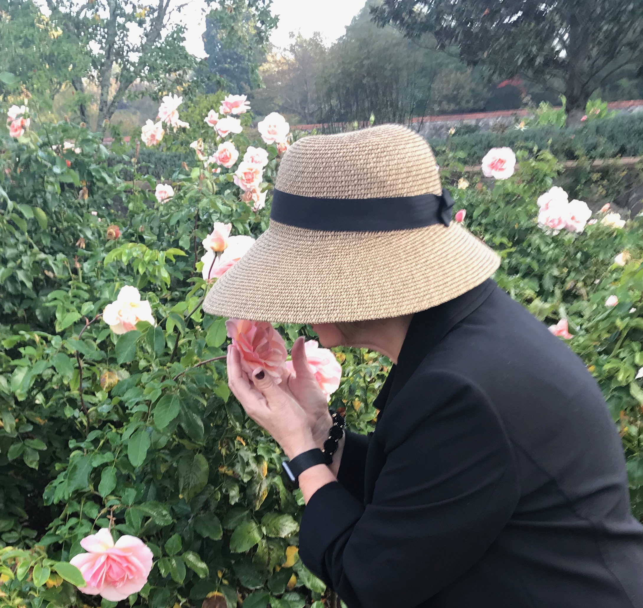 Up Close and Personal