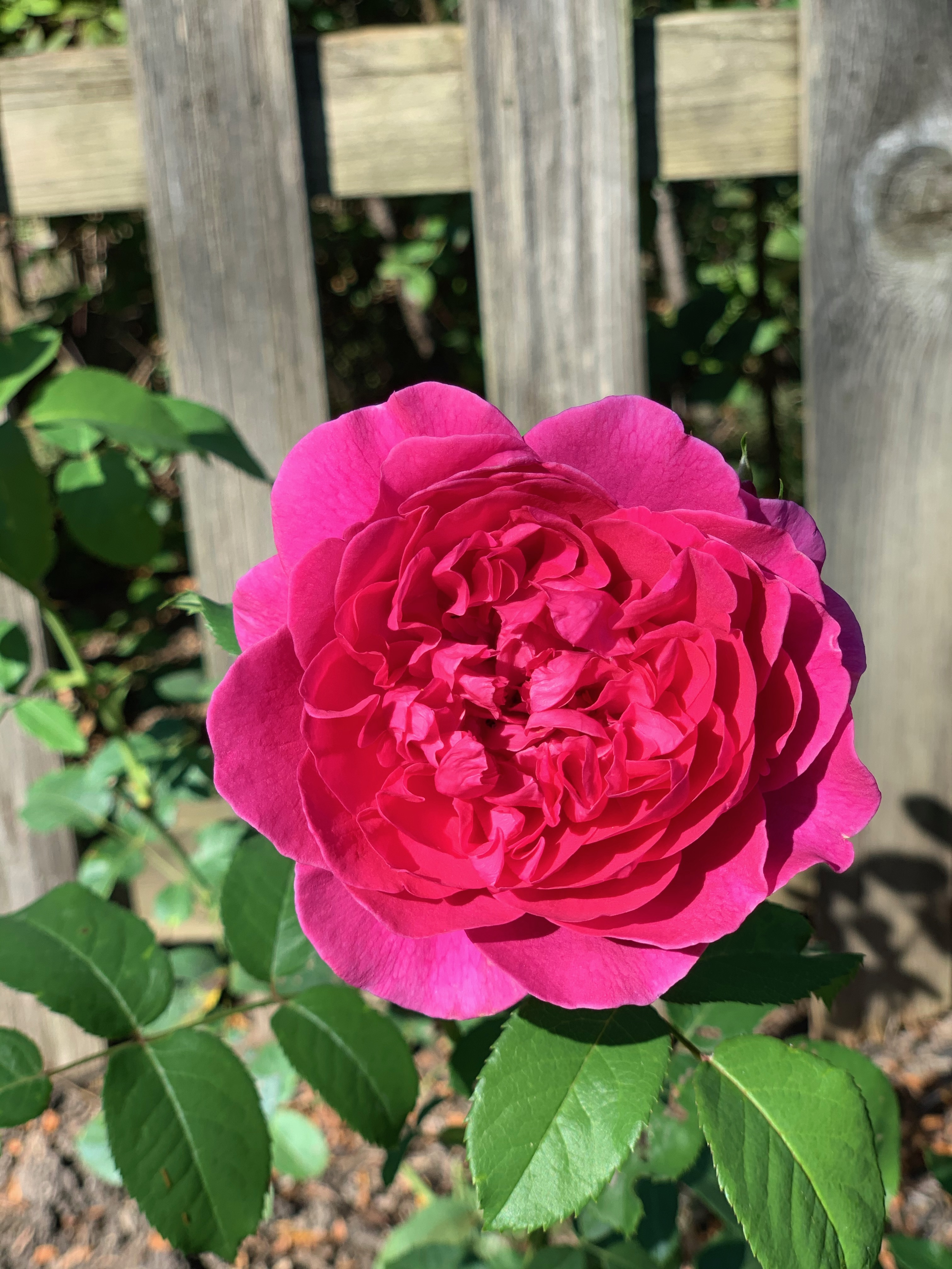 James L. Austin Up close