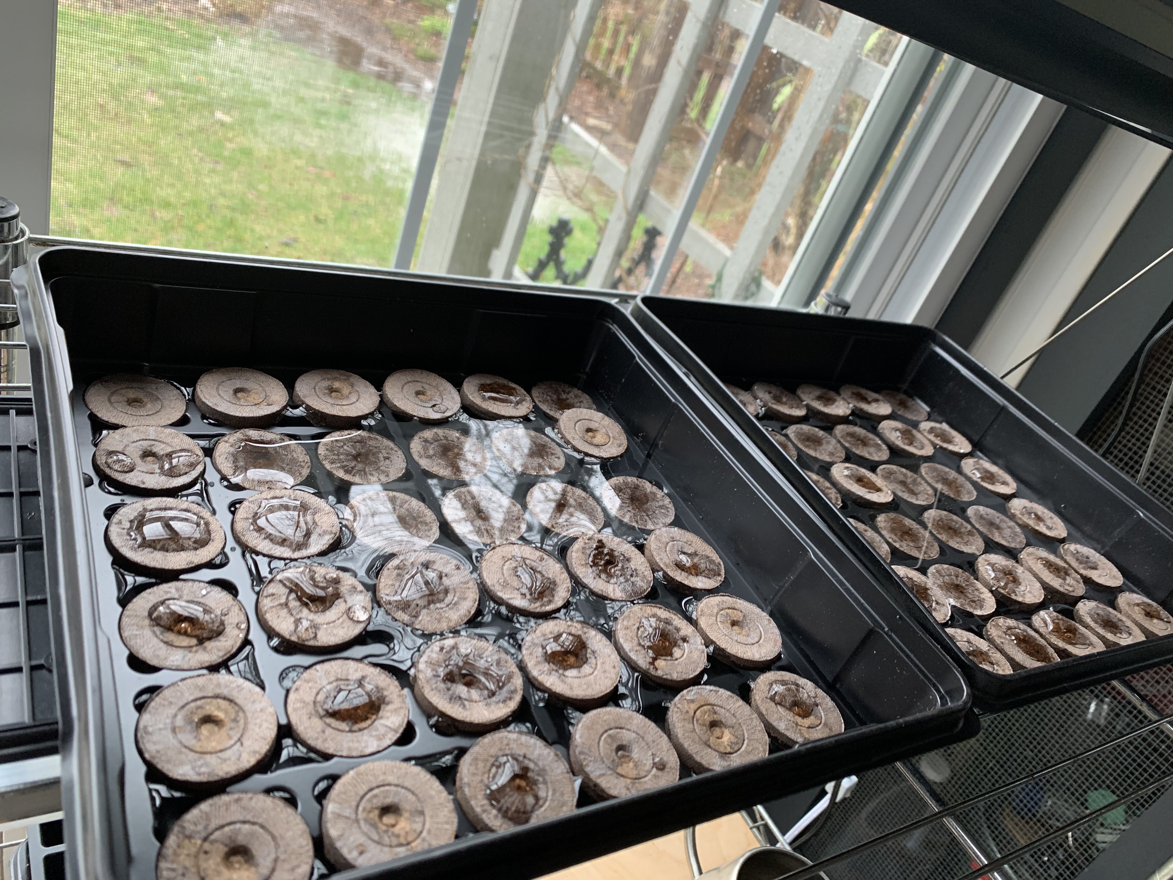 Seeds planted and prayed over!