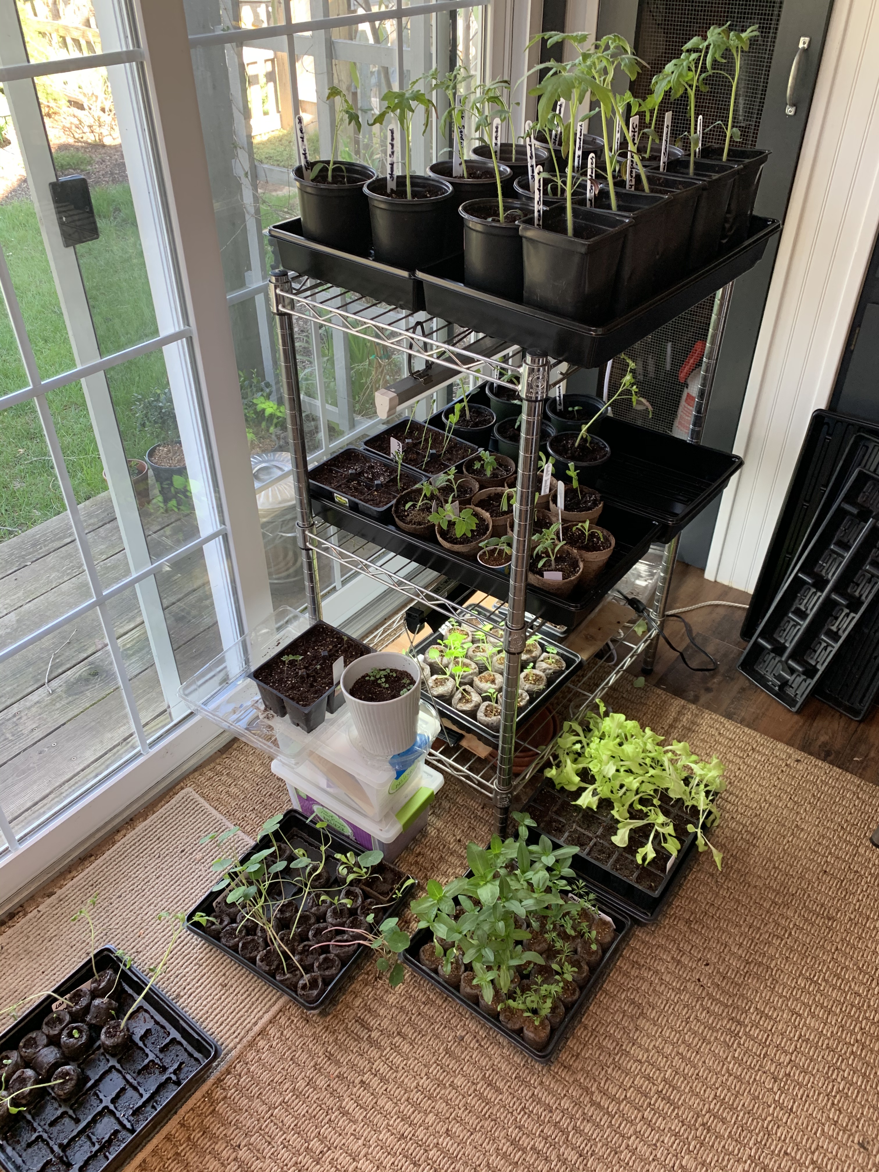 They are joined to the masses.