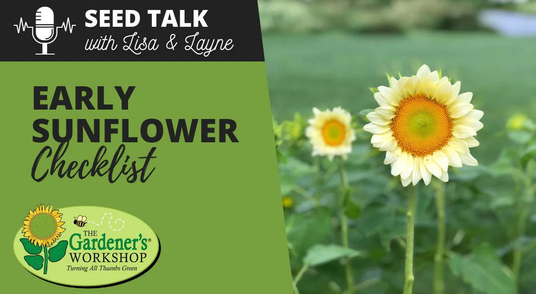 79 Early Sunflower Checklist The Gardener S Workshop