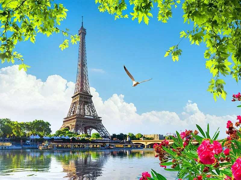 Paris to Provence tour by train - The Good Life France - Vimarsana News