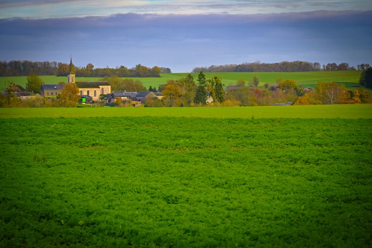 Belgium Countryside