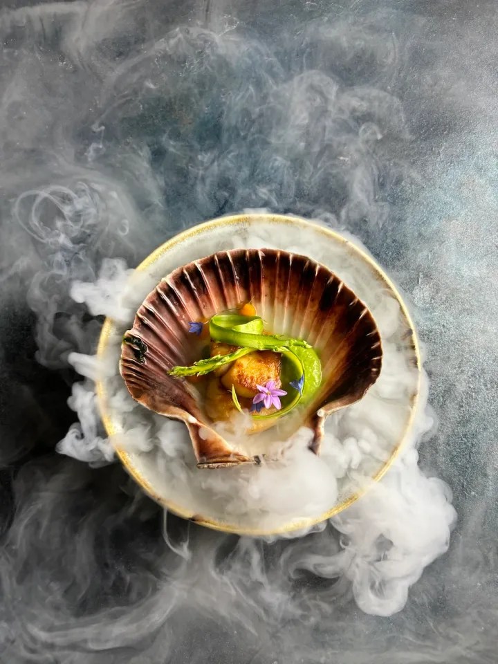 Scallop on a shell in swirling fog