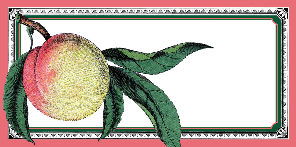 free printable jam labels the graphics fairy