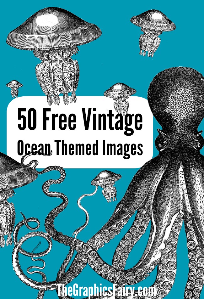 free crusty crab image the graphics fairy