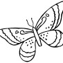 Butterfly Drawing {6 Easy Steps}! - The Graphics Fairy