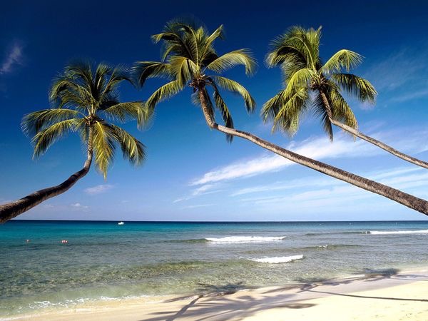 Barbados Trip Report 2018 – Episode 1